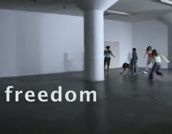 freedom (2008)